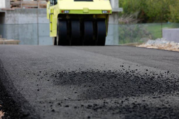 Best Driveway Paving Contractor  in Forest City, IA