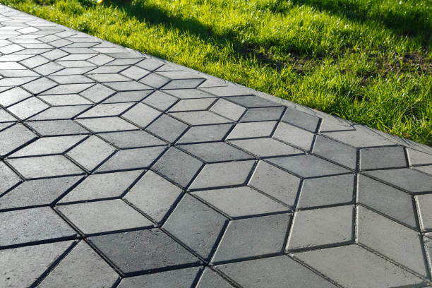 Best Custom Driveway Pavers  in Forest City, IA