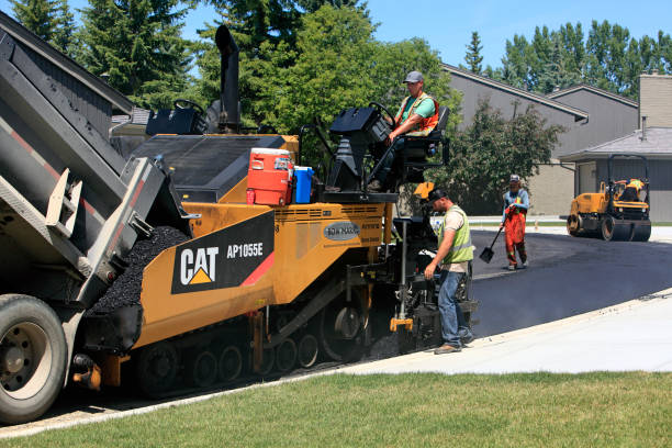 Best Driveway Pavers Near Me  in Forest City, IA